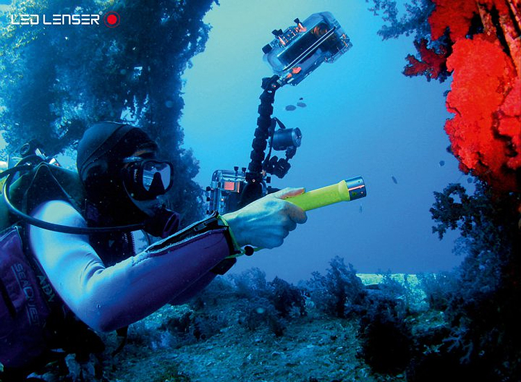 LedLenser Frogman