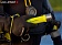 LedLenser D14 Frogman