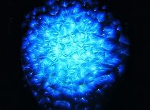 Preview Image 1