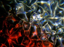 Preview Image 1