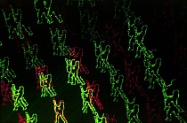 Preview Image 1