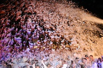 Preview Image 1