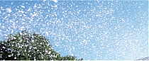 Preview Image 1