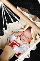 Preview Image 1